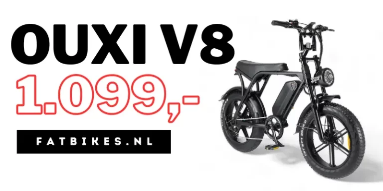 Wat kost een fatbike?