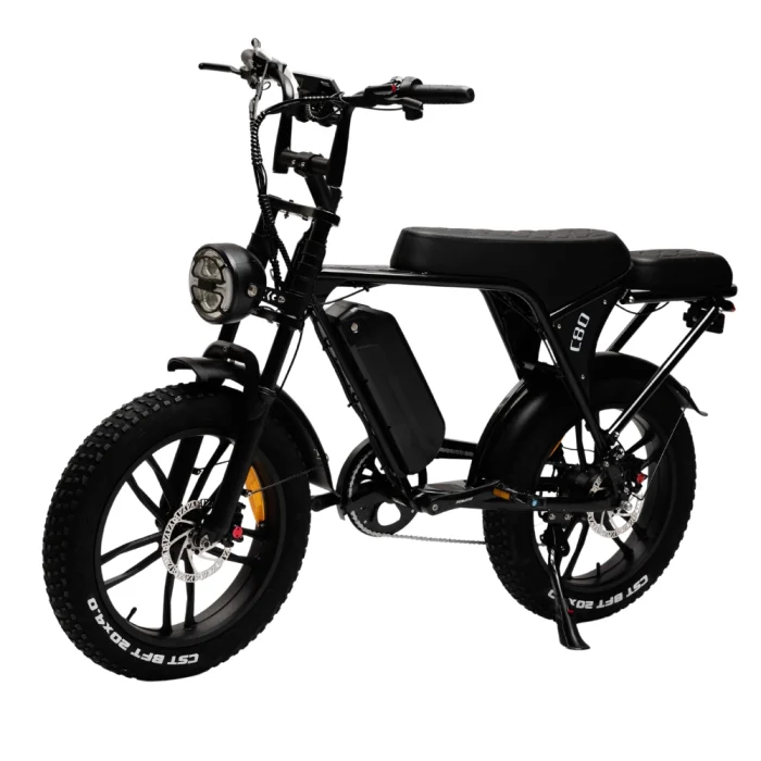 C80_Fatbike