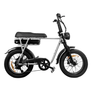 EB2 | Elektrische Fatbike | Zilver | 250W