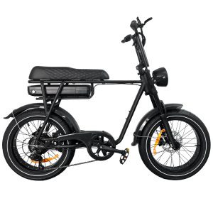 EB2 Pro Fatbike | Zwart | Torque Sensor | 250W