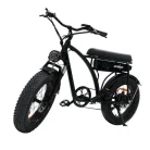 F5 Windgoo fatbike