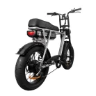 Fatbike Zilver Eb2