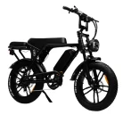 FatbikeC_80