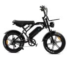 V20_elektrische_fatbike
