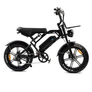 V20 Pro 2025 | Elektrische Fatbike | 250W | Zwart
