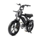 V20_fatbike_250W
