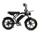 V20pro_Zwart_Fatbikes