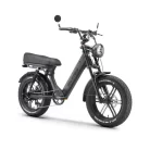 ape_ryder_fatbike