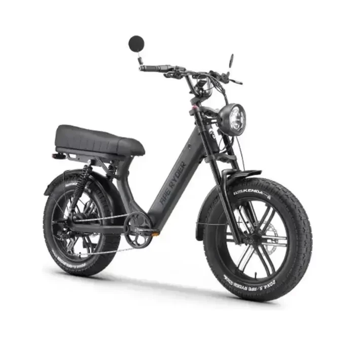 ape_ryder_fatbike
