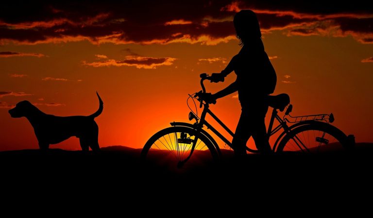 Verzekering voor fatbikes