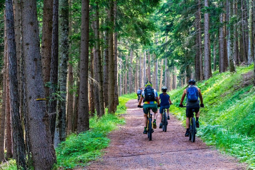 Wat kost een fatbike? Fatbikes.nl