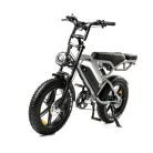 V20 Pro Lichtgrijs Fatbike 250watt