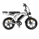 V20 Pro Lichtgrijs fatbike