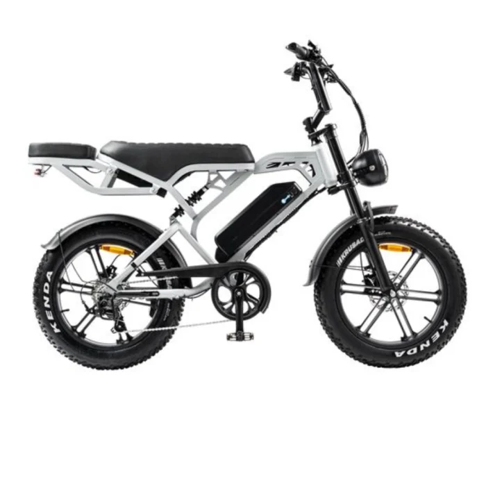 V20 Pro Lichtgrijs fatbike