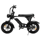 Mini_fatbike_c80