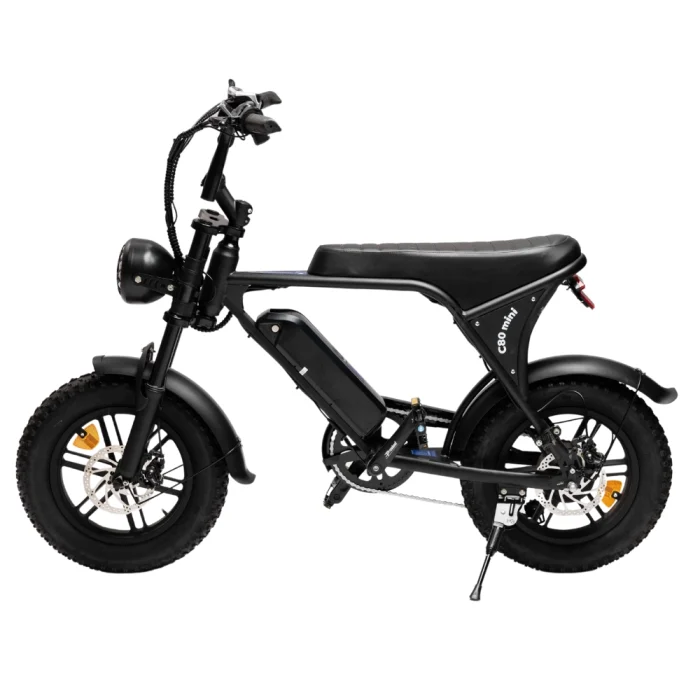 Mini_fatbike_c80
